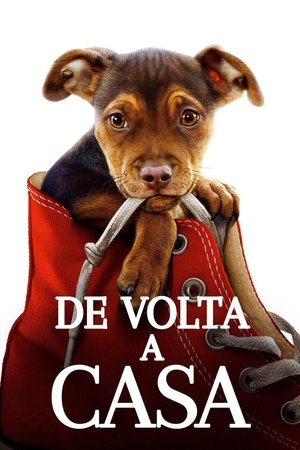 De Volta a Casa